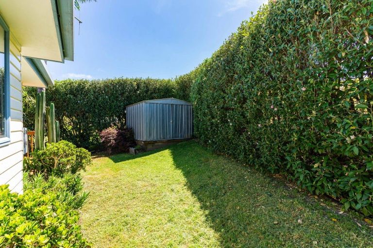 Photo of property in 58 Mangawhai Heads Road, Mangawhai Heads, Kaiwaka, 0573