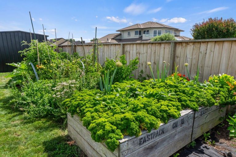 Photo of property in 22 Kaimai Drive, Matamata, 3400