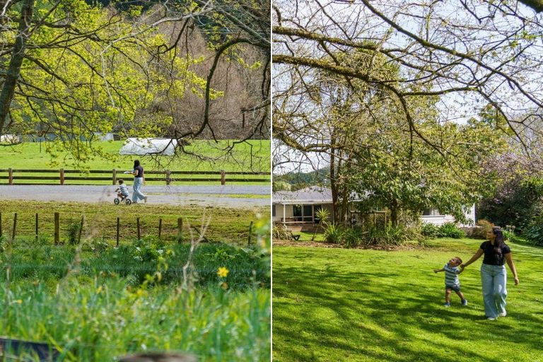 Photo of property in 868 Allport Road, Paengaroa, 3189