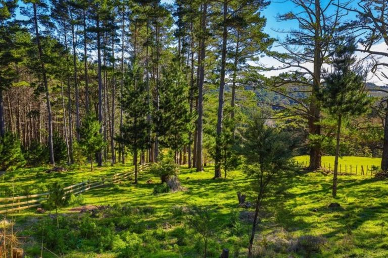 Photo of property in 60 Godley Lane, Lucas Heights, Auckland, 0632