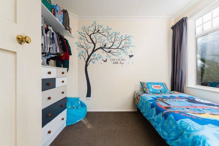 Photo of property in 19 Oakland Street, Andersons Bay, Dunedin, 9013