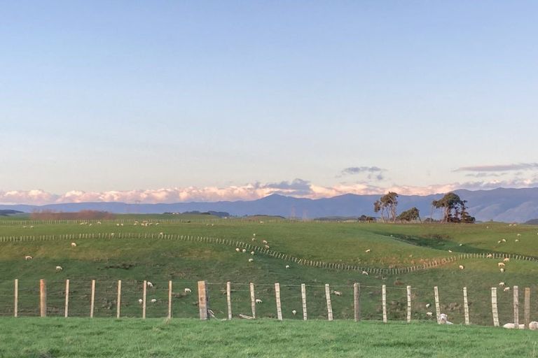 Photo of property in 1052 Taonui Road, Colyton, 4775