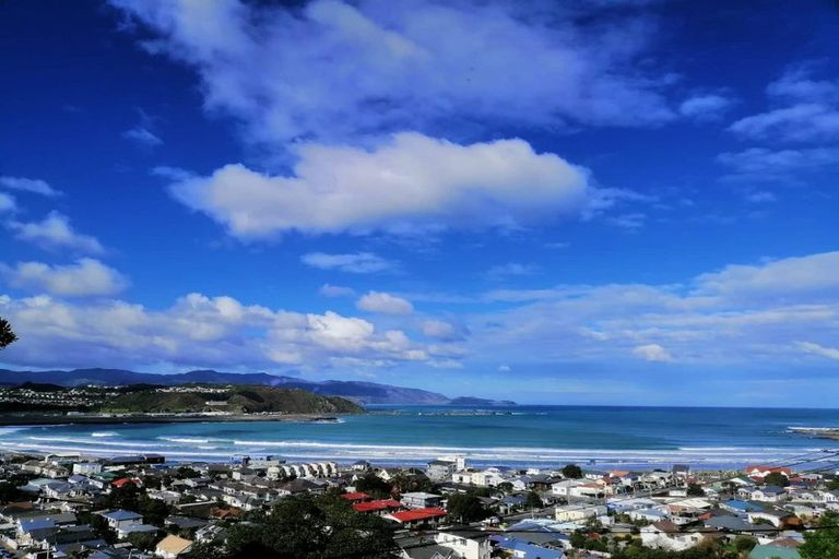 Photo of property in 53 Carlton Street, Melrose, Wellington, 6023