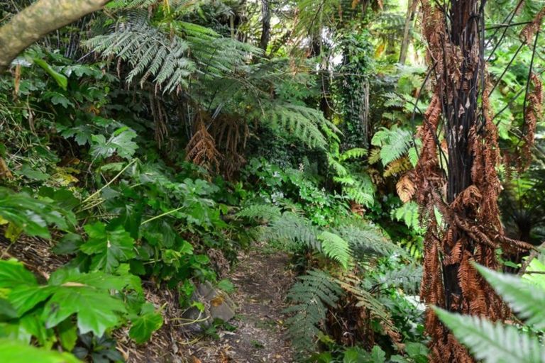 Photo of property in 59 Berkley Avenue, Hillcrest, Hamilton, 3216