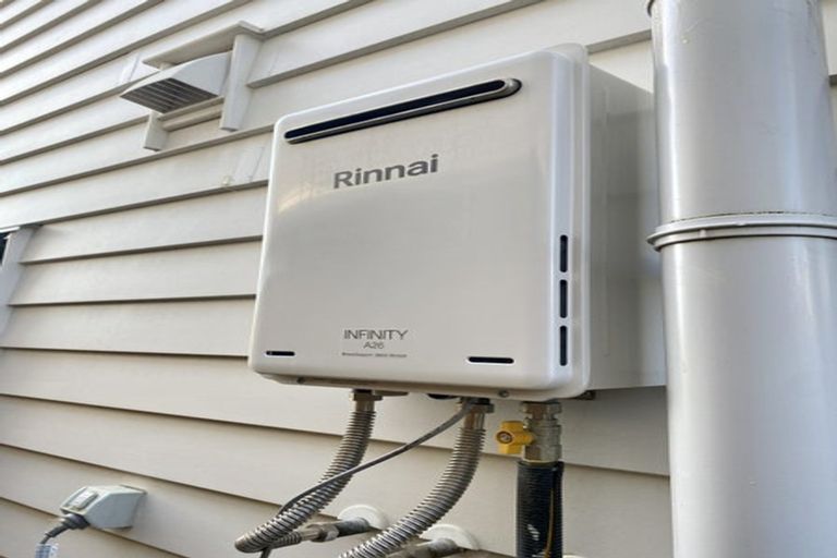 Photo of property in 15 Black Shed Road, Flat Bush, Auckland, 2019