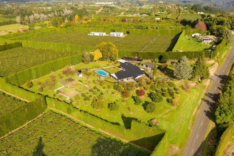 Photo of property in 202 Keenan Road, Pyes Pa, Tauranga, 3173