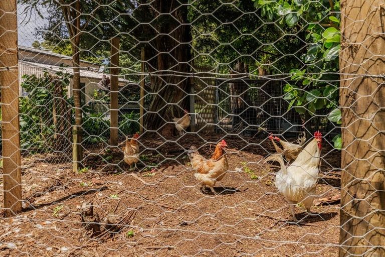 Photo of property in 55 Waitotara Drive, Waipapa, 0230