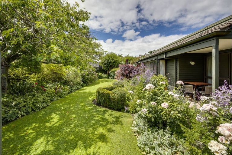 Photo of property in 627 York Street, Mahora, Hastings, 4120