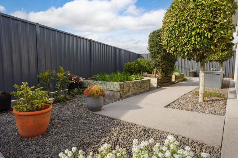 Photo of property in 17 Maple Place, Matamata, 3400
