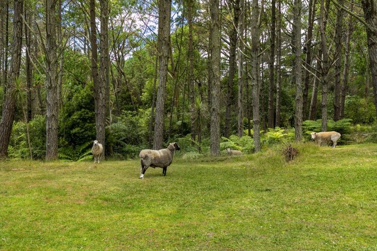 Photo of property in 96 Potter Road, Dairy Flat, Albany, 0792