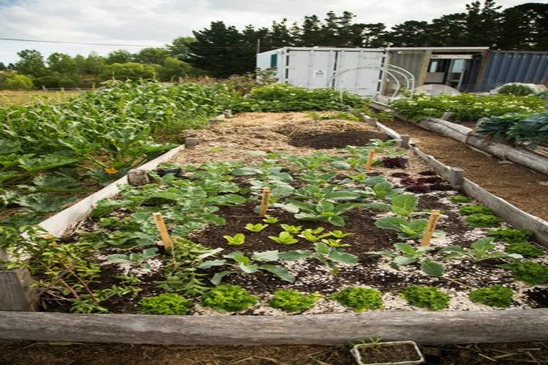 Photo of property in 148 Maskells Road, Balcairn, Amberley, 7481