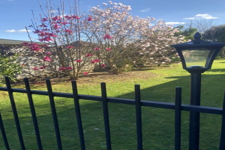 Photo of property in 20 Sharp Place, Matamata, 3400