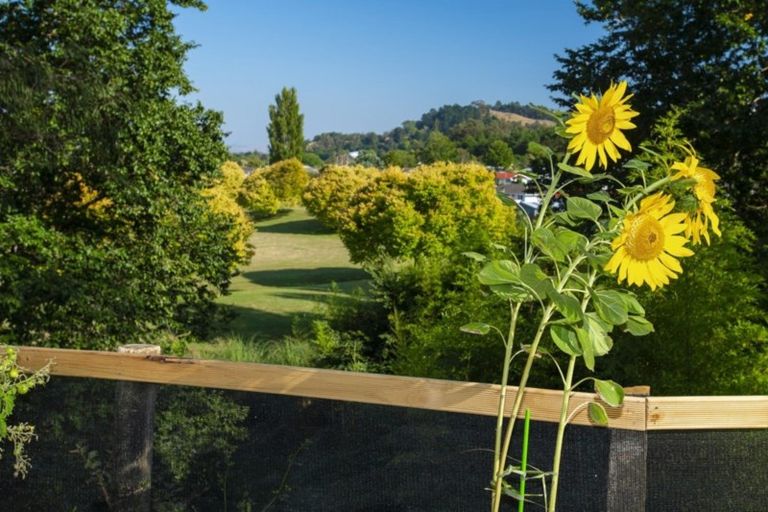 Photo of property in 64 Lyell Road, Outer Kaiti, Gisborne, 4010