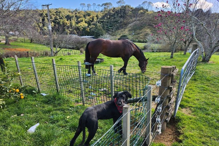 Photo of property in 352c Woodlands Road, Waihi, 3682