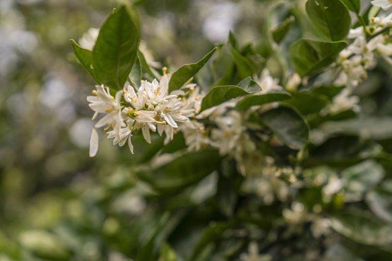 Photo of property in 895 State Highway 25, Whenuakite, Whitianga, 3591