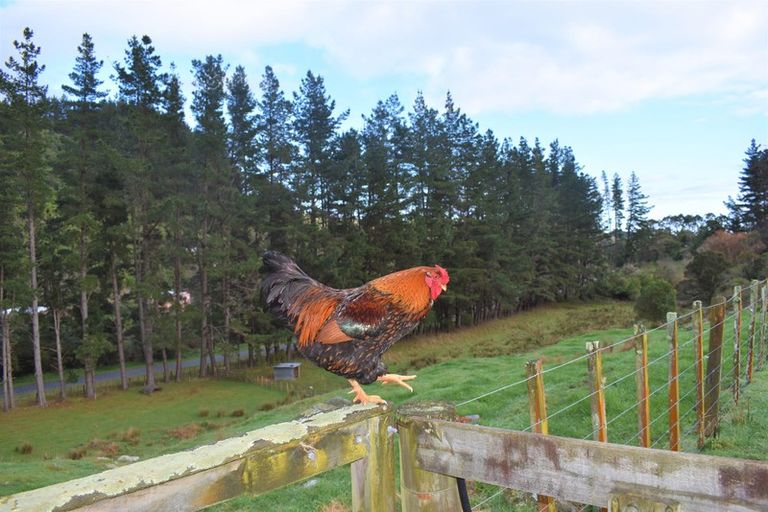 Photo of property in 41 Kaitawa Road, Hautere, Otaki, 5582