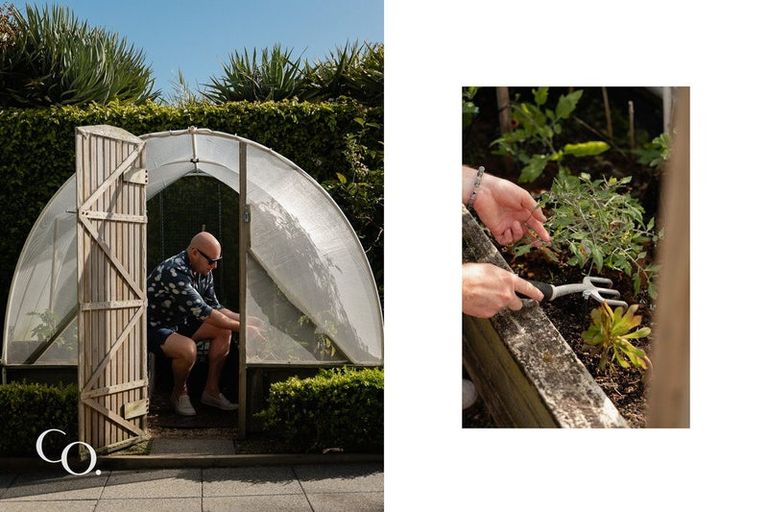 Photo of property in 72b Muricata Avenue, Mount Maunganui, 3116