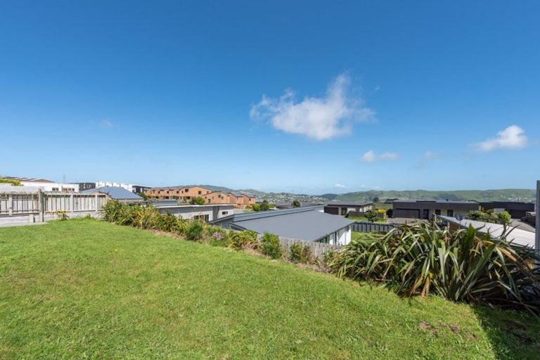 Photo of property in 35 Lacebark Lane, Woodridge, Wellington, 6037