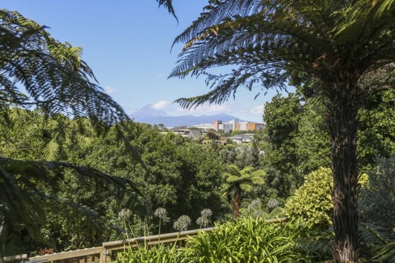 Photo of property in 25 Glen Almond Street, New Plymouth, 4310