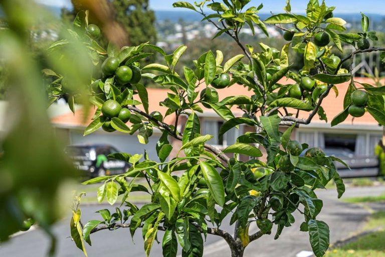 Photo of property in 34 Redmond Street, Judea, Tauranga, 3110