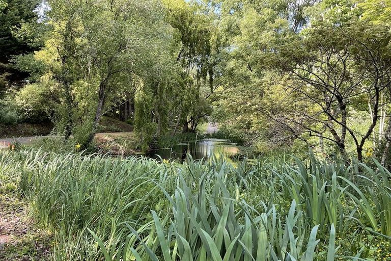 Photo of property in 159 Masterton Stronvar Road, Te Ore Ore, Masterton, 5886