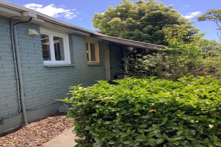 Photo of property in 101 Cranford Street, St Albans, Christchurch, 8014