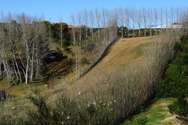 Photo of property in 6 Carex Close, Pyes Pa, Tauranga, 3112