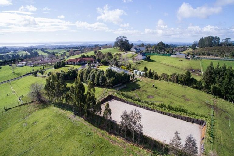 Photo of property in 175 Tim Road, Whakamarama, Tauranga, 3180