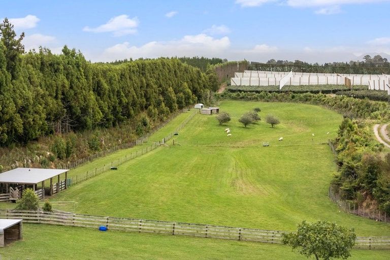 Photo of property in 110 Tuapiro Road, Tahawai, Katikati, 3170