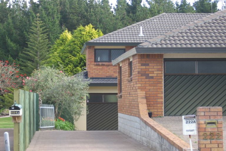 Photo of property in 222 Oceanbeach Road, Mount Maunganui, 3116