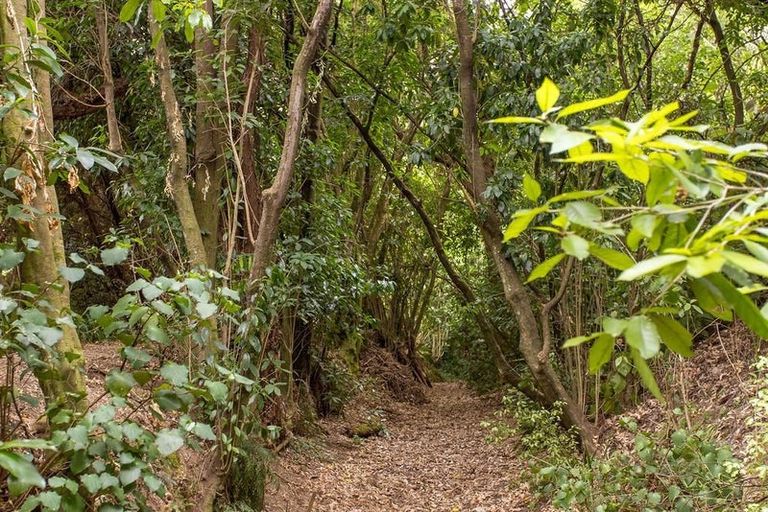 Photo of property in 81 Grehan Valley Road, Akaroa, 7520