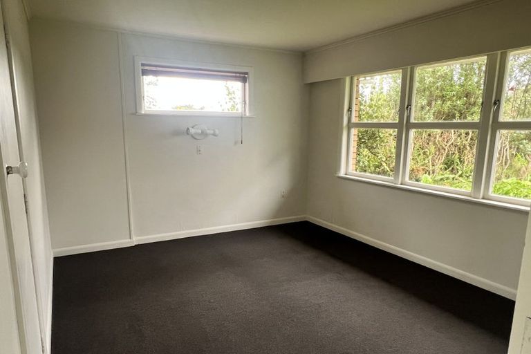 Photo of property in 163 River Road, Hamilton East, Hamilton, 3216