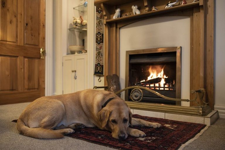 Photo of property in 445 Matangi Road, Matangi, Hamilton, 3284