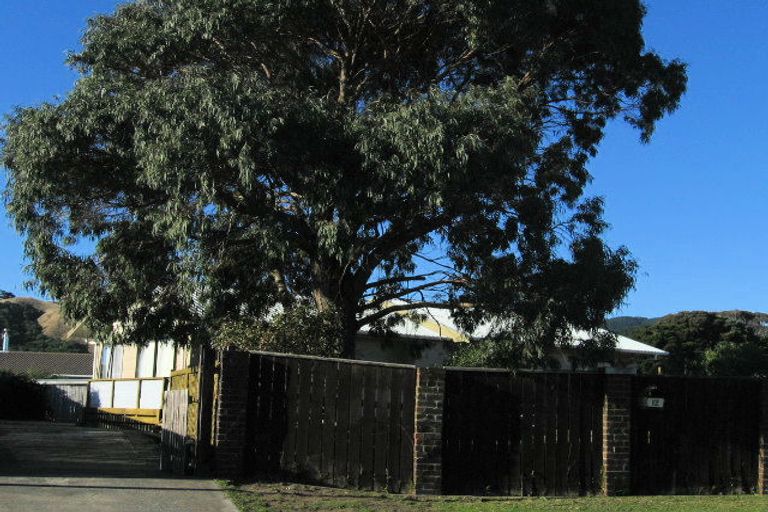 Photo of property in 12 Pukeko Street, Paraparaumu, 5032