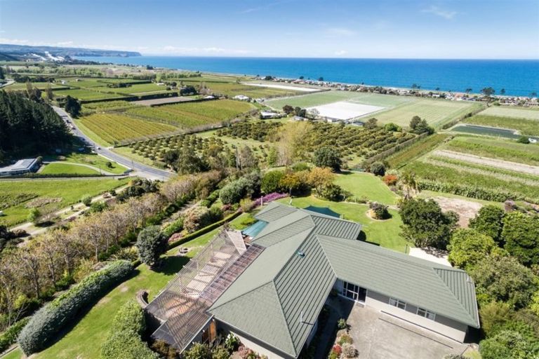 Photo of property in 787 Main North Road, Bay View, Napier, 4182
