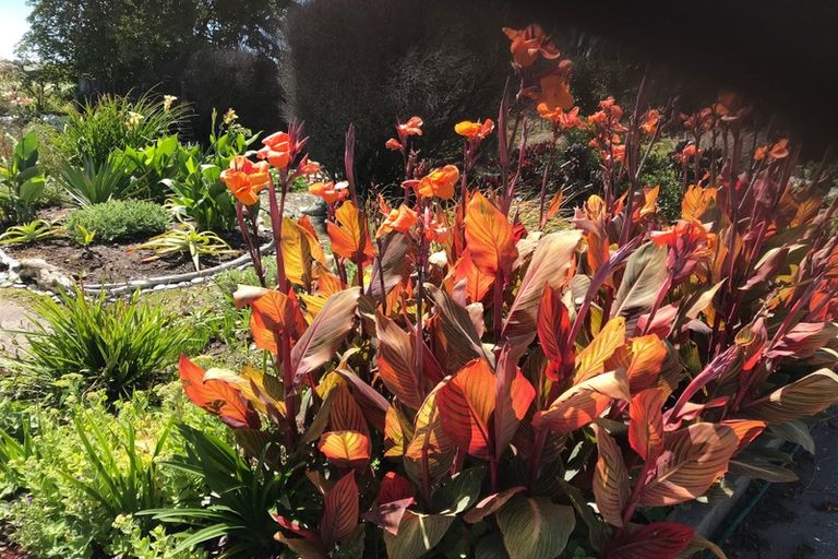 Photo of property in 33 Beach Street, Hokitika, 7810