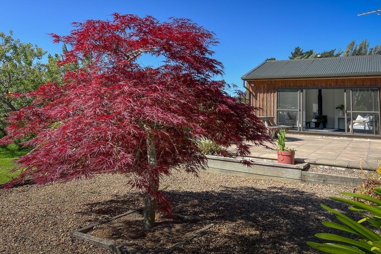 Photo of property in 165 Governors Bay - Teddington Road, Teddington, Lyttelton, 8971