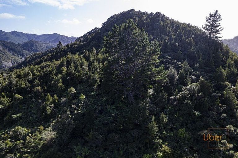 Photo of property in 74 Waiparera Road, Parua Bay, 0192