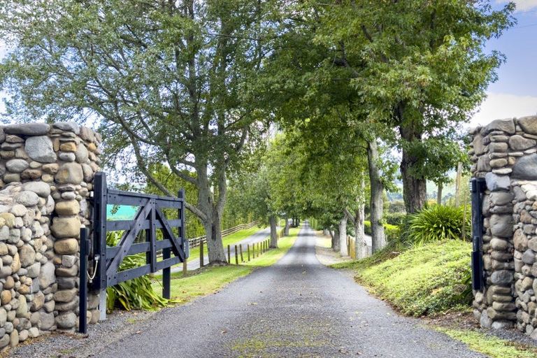 Photo of property in 20 Amber Lane, Karapiro, Cambridge, 3494