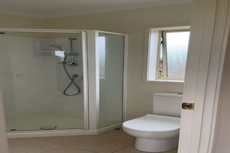 Photo of property in 53 Robin Brooke Drive, Flat Bush, Auckland, 2019