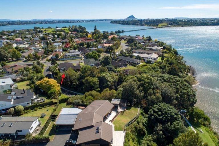 Photo of property in 67 Te Hono Street, Maungatapu, Tauranga, 3112