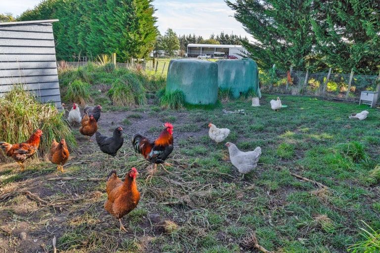 Photo of property in 296b Norfolk Road, Waingawa, Carterton, 5791