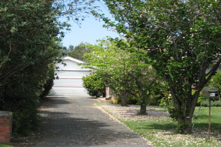 Photo of property in 43 Whitefield Street, Kaiapoi, 7630