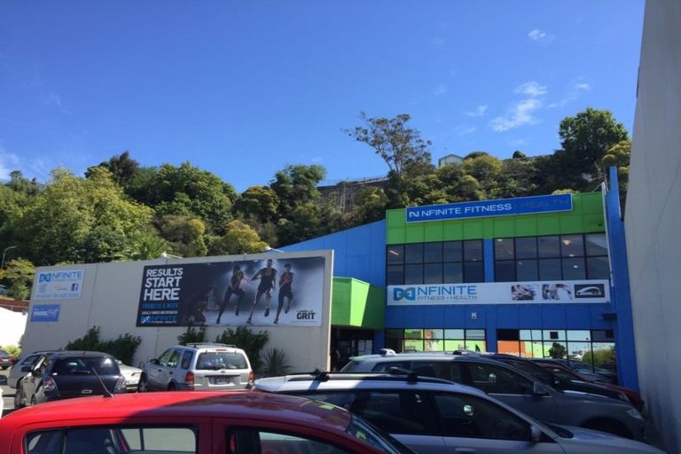 Photo of property in 17a Carlyle Street, North East Valley, Dunedin, 9010