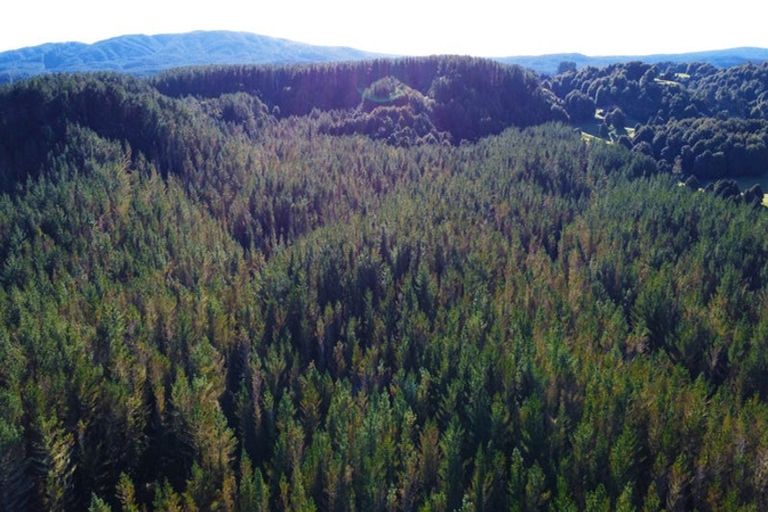 Photo of property in 3811 Waitotara Valley Road, Ngamatapouri, Whanganui, 4588