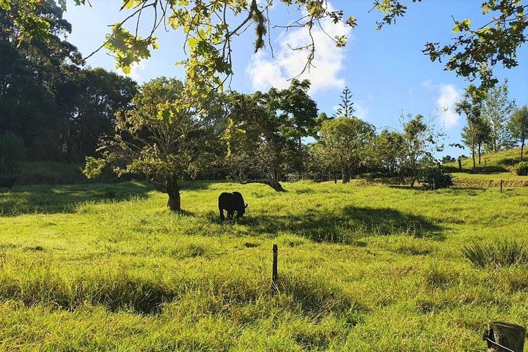 Photo of property in 55 Creamery Road, Kohukohu, 0491