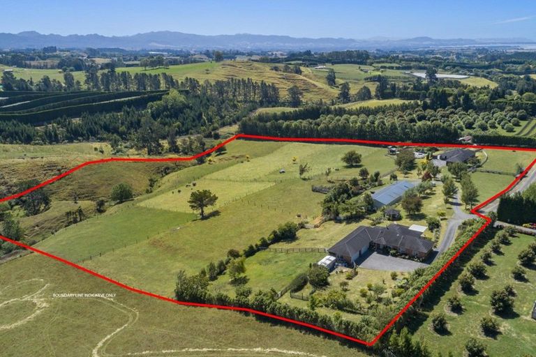 Photo of property in 416a Youngson Road, Whakamarama, Tauranga, 3179