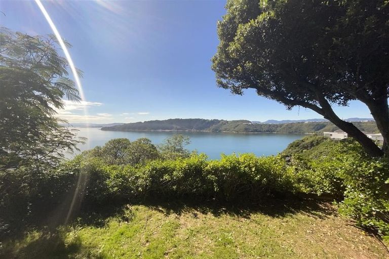 Photo of property in 12 Te Anau Avenue, Hataitai, Wellington, 6021