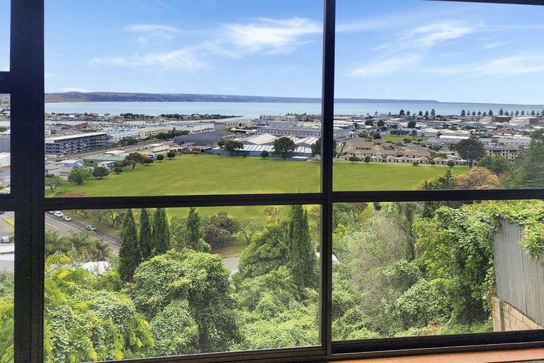 Photo of property in 28 Hospital Terrace, Hospital Hill, Napier, 4110