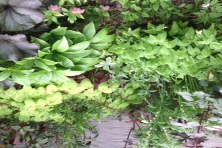 Photo of property in 13 Shannon Street, Alexandra, 9320